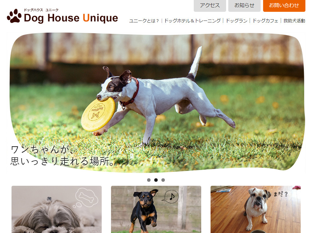 Dog House Unique